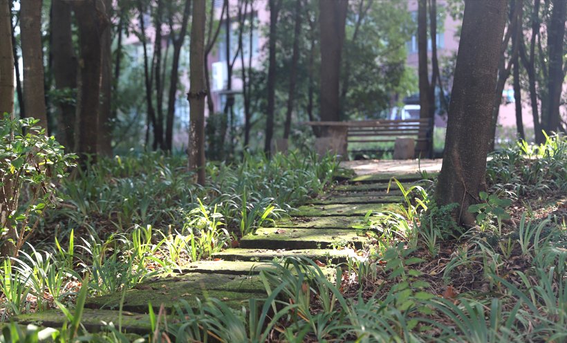 欧冠哪里可以买球赛